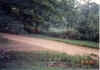 Dirt road out in front of Grandmas house
